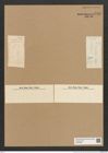Diatomeae indet. (de-Toni-Nr.: Species 1938 ?) Zeichnungen Sammlung Grunow Nr. 6565 (NHMW-BOT-W0375300)